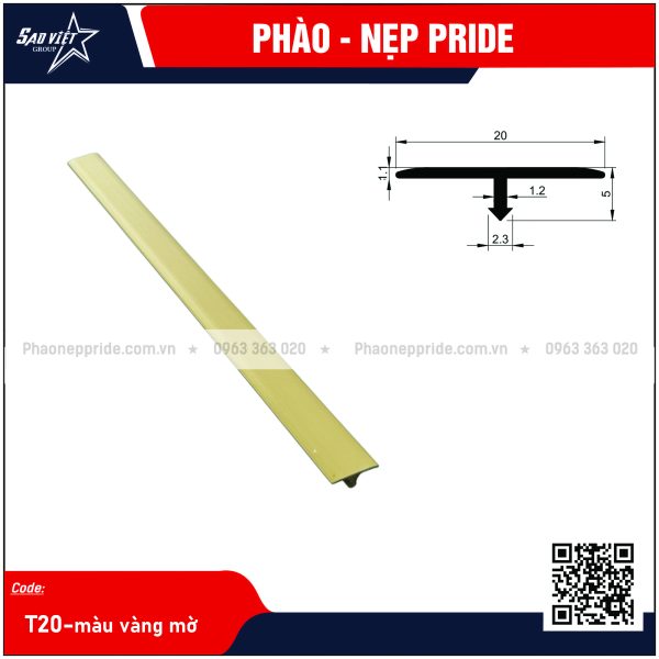 NẸP HỢP KIM TRANG TRÍ T20